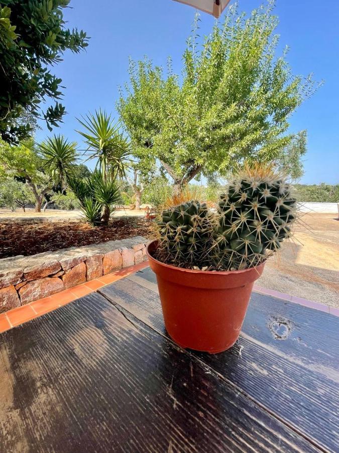 Apartamento Residenza Fumarola Ostuni Exterior foto
